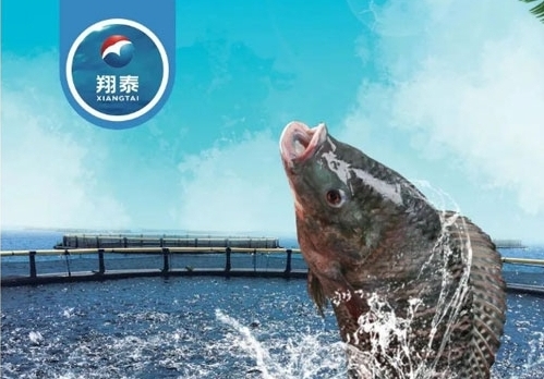 翔泰漁業(yè)深耕【海南鯛】近二十年，堅持高品質水產品穩(wěn)定供應，不斷創(chuàng)新研發(fā)產品以滿足不同市場需求！