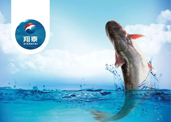 繼金鯧魚、海南鯛之后！翔泰漁業(yè)全力打造第三條精品魚【海南巴沙魚】