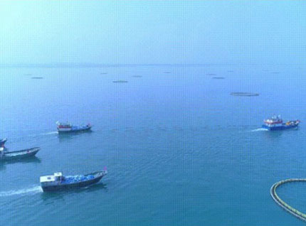 首批漁獲——翔泰2023金鯧魚全面開捕，從南海到餐桌，全程可追溯！